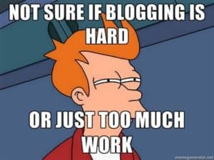 not sure if blogging is hard or just too much work fry meme