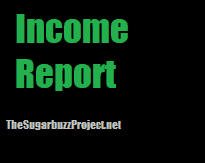 Blog Income Report